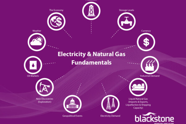 BSE-infographic